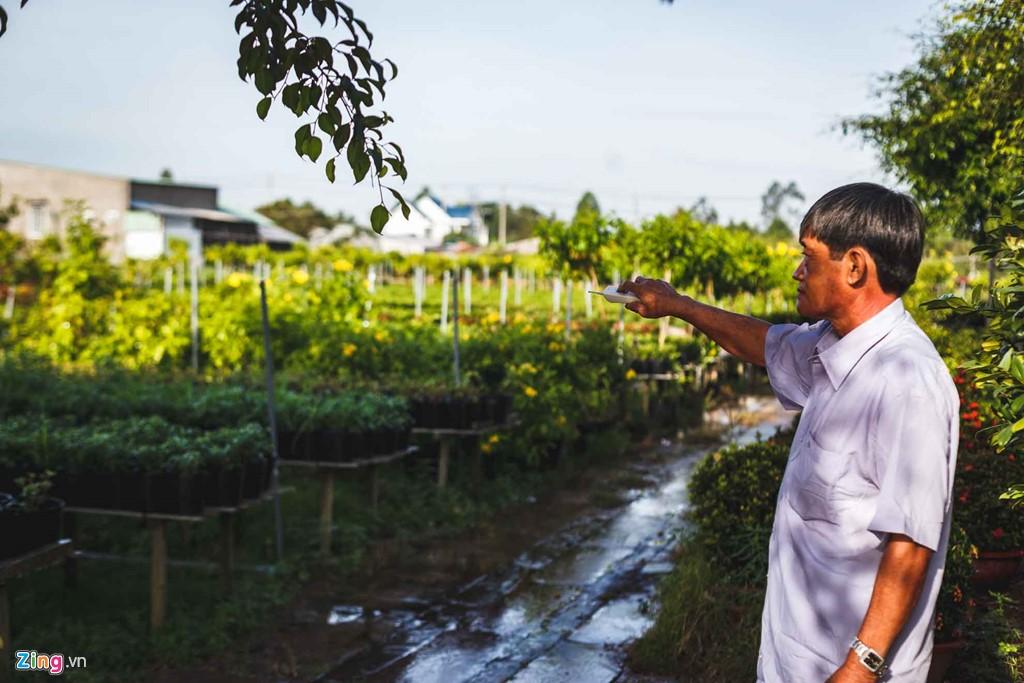 Đến nay, với gần 100 năm kinh nghiệm, cộng với sự phát triển của khoa học kỹ thuật, quy trình trồng hoa đã có nhiều tiến bộ, cho hoa đẹp quanh năm. Nhiều hộ còn đầu tư đường ống tưới hoa phun sương, điều khiển tự động.