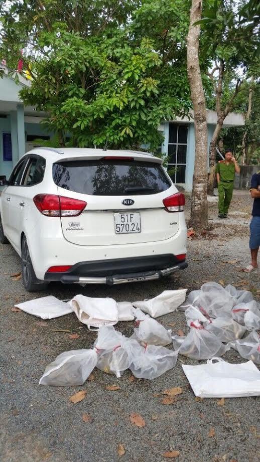 Nhóm người đi ô tô mang 10 túi rắn độc định phóng sinh lên núi ở An Giang - Ảnh 1.