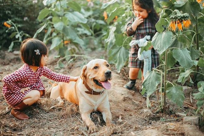 Mũm là người bạn đầu tiên của Mầm. Thông qua bộ ảnh, mẹ của Mũm và Mầm muốn giúp các con lưu giữ lại những khoảnh khắc đẹp của tình bạn thuở hồn nhiên.