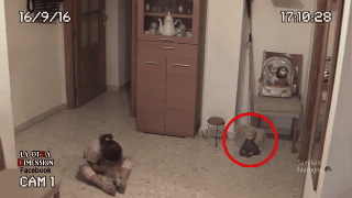 Lắp camera an ninh ở nhà để yên tâm hơn về con gái, ông bố sởn da gà khi xem lại video - Ảnh 2.