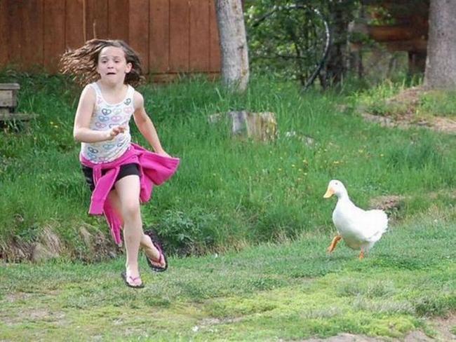 nhung khoanh khac khien nguoi xem "sung so" hinh anh 4