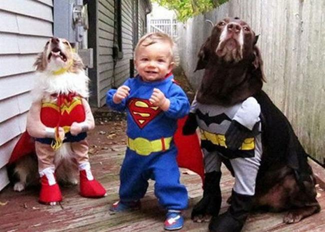 nhung khoanh khac khien nguoi xem "sung so" hinh anh 12