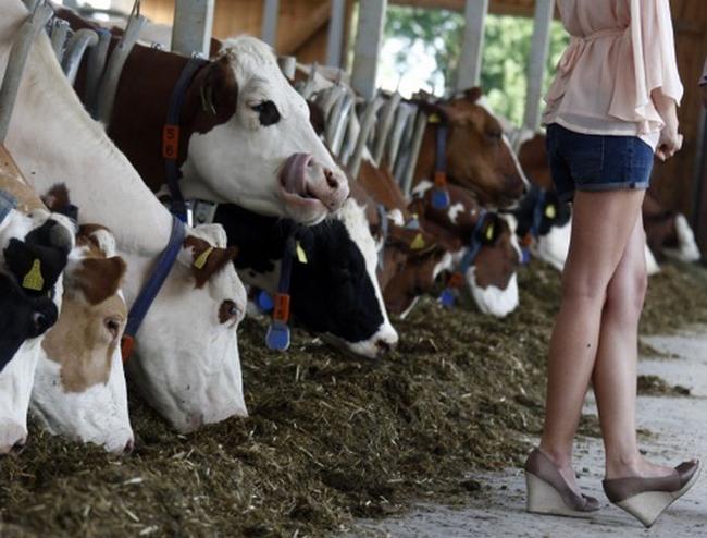nhung khoanh khac khien nguoi xem "sung so" hinh anh 5