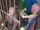 Nhốt mẹ già 92 tuổi vào chuồng lợn, đánh đập cặp vợ chồng bị dư luận ném đá