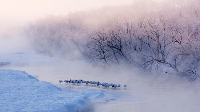 Những khối băng trên hồ Baikal, Siberia như được làm nên từ đôi bàn tay tài hoa của người nghệ sỹ.