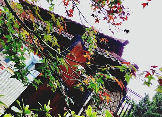 6 vung la phong tuyet dep khap ca nuoc hinh anh 1