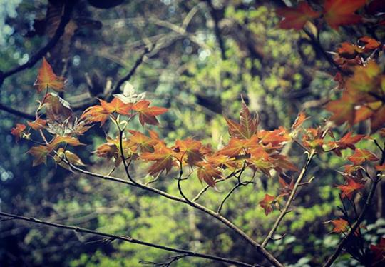 6 vung la phong tuyet dep khap ca nuoc hinh anh 3