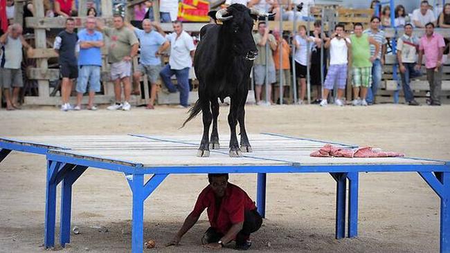 do khong noi voi hinh anh "kho do" trong cuoc song hinh anh 13