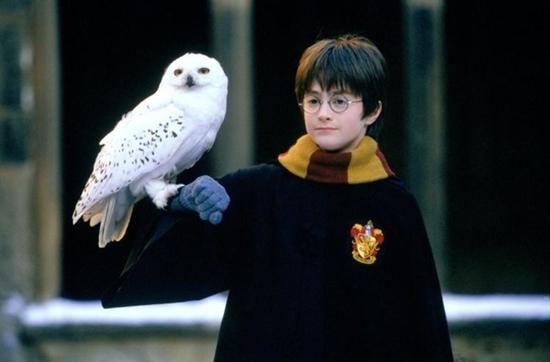 Năm 2001, vài diễn Harry Potter đã trở thành bước ngoặt quan trọng trong cuộc đời của Daniel Radcliffe.