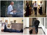 Tạm biệt Obama, thế giới sẽ nhớ những hình ảnh này