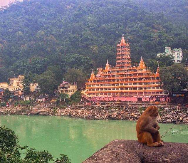 Trong thời gian chu du Đông Nam Á, cô kiếm được khoảng 1.000-2.000 USD một tháng, trong đó sinh hoạt phí tốn chưa tới 700 USD.