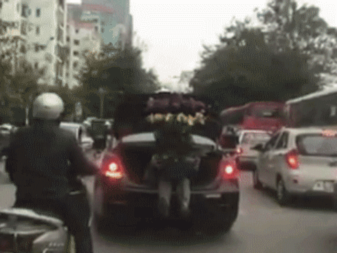 Ôm chậu hoa như báu vật, người đàn ông ngồi trong cốp ô tô khiến cả phố phải nhìn