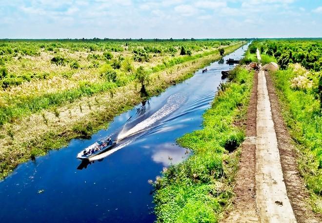 Rừng U Minh Thượng (Kiên Giang) cách TP.HCM 364 km về phía tây nam, cao 1,8 m so với mực nước biển. Đất U Minh Thượng được hình thành bằng cách lắng đọng trầm tích phù sa từ hệ thống sông Cửu Long. Nơi đây có 72 loài động thực vật được quý hiếm được ghi nhận trong sách đỏ Việt Nam. Ảnh: Bùi Chiên.