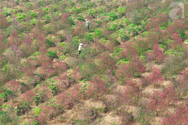 6 làng nghề chỉ nghe tên là thấy Tết đến đến ngưỡng cửa - Ảnh 4.