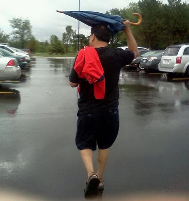 phat hoang voi hinh anh "ky quac" cua cac quy ong hinh anh 2