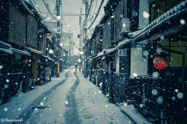 Những hình ảnh lạnh không thể tin nổi vào mùa đông ở Nhật Bản - Ảnh 2.