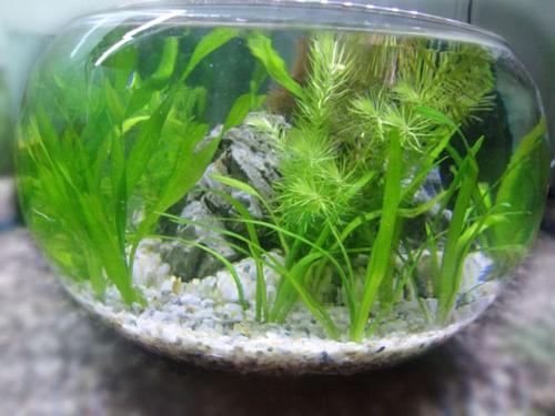 khong do noi voi nhung "chieu doc" vo buoc chong bo nhau ve nha - 2