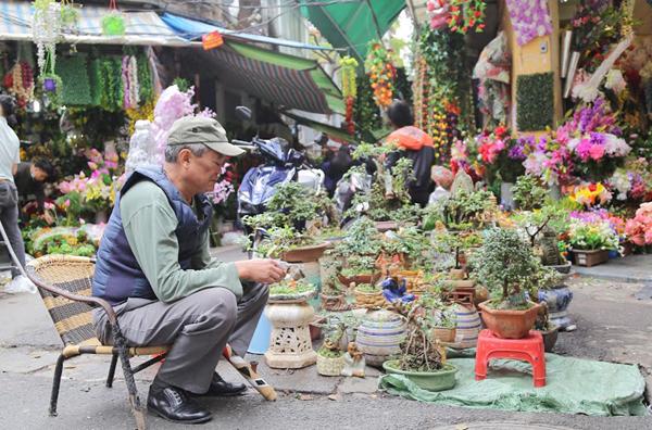 Một góc chợ chuyên bán các loại cây cảnh.