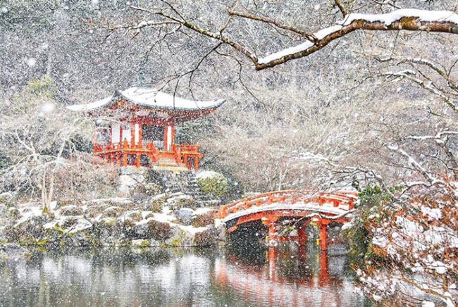 Mọi cảnh vật ở Kyoto được bao phủ một lớp tuyết trắng xóa trông như xứ sở thần tiên trong truyện cổ tích.