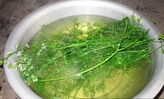 Biet dieu nay ban bat buoc phai tam bang nuoc rau mui vao ngay 30 Tet