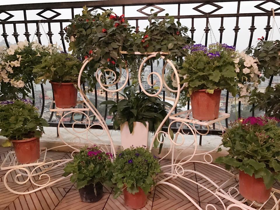 Sao Việt ngày cận tết: người hào hứng đi chợ hoa - kẻ livestream gói bánh chưng-8