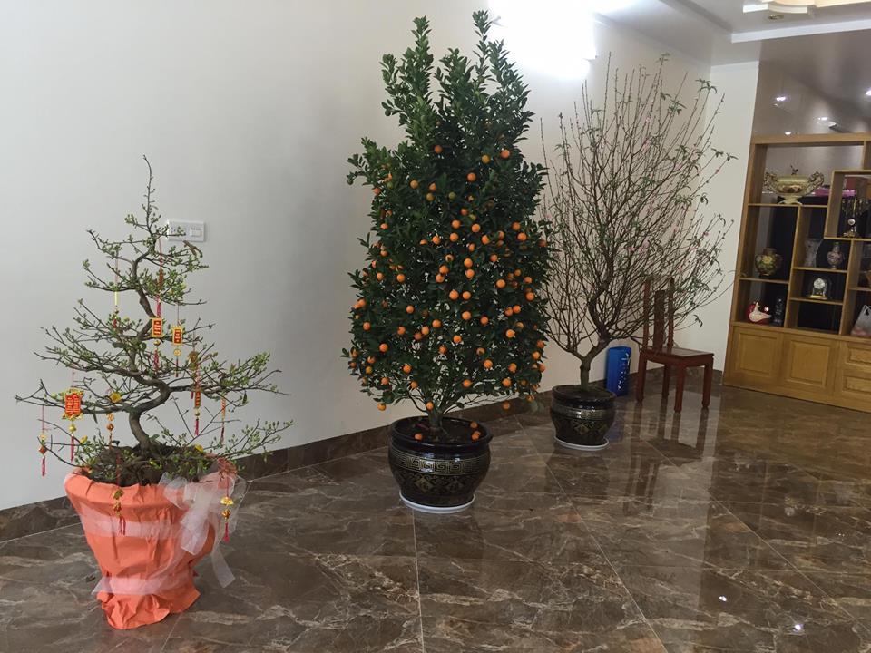 Sao Việt ngày cận tết: người hào hứng đi chợ hoa - kẻ livestream gói bánh chưng-10