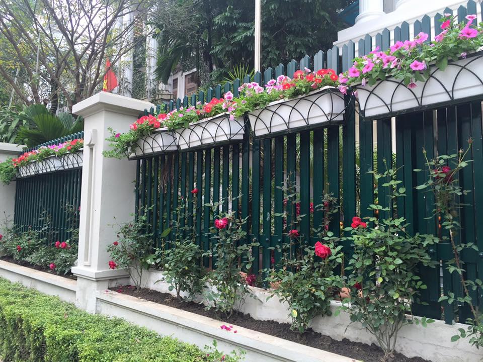 Sao Việt ngày cận tết: người hào hứng đi chợ hoa - kẻ livestream gói bánh chưng-11