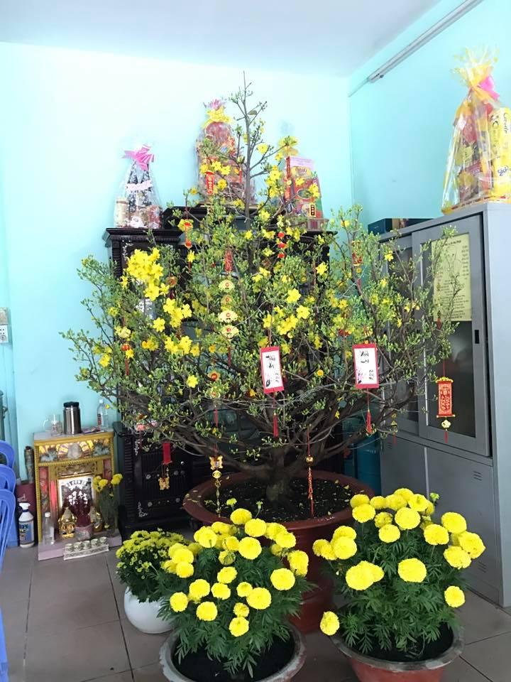 Sao Việt ngày cận tết: người hào hứng đi chợ hoa - kẻ livestream gói bánh chưng-14