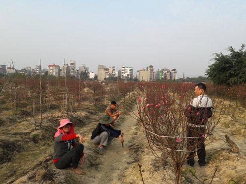 dan ha noi "boi" khong ra dao dep de choi tet - 1