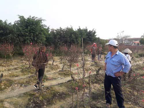 dan ha noi "boi" khong ra dao dep de choi tet - 3