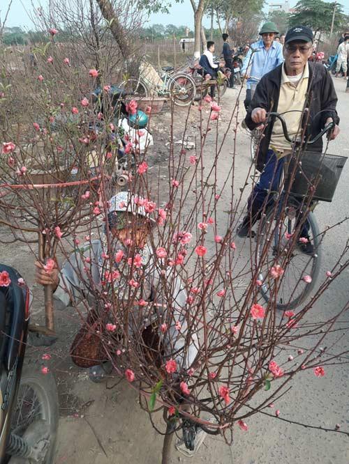 dan ha noi "boi" khong ra dao dep de choi tet - 6