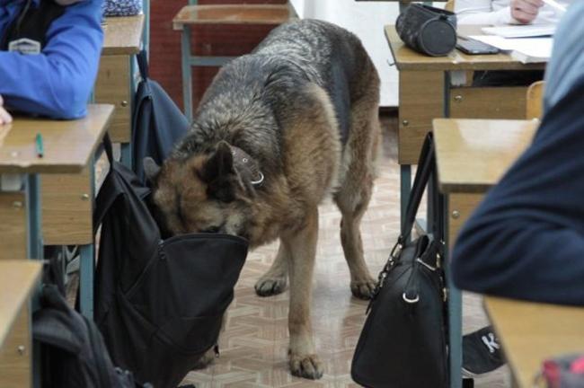 giat minh voi nhung hinh anh "hiem thay" trong lop hoc hinh anh 6