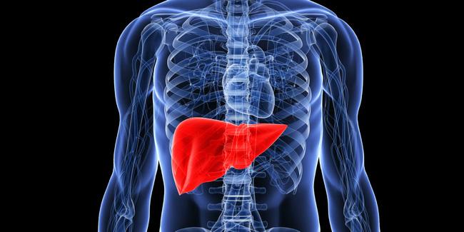 Công thức đồ uống từ bạc hà tươi giúp bạn detox gan hiệu quả, đón Tết thêm vui - Ảnh 1.