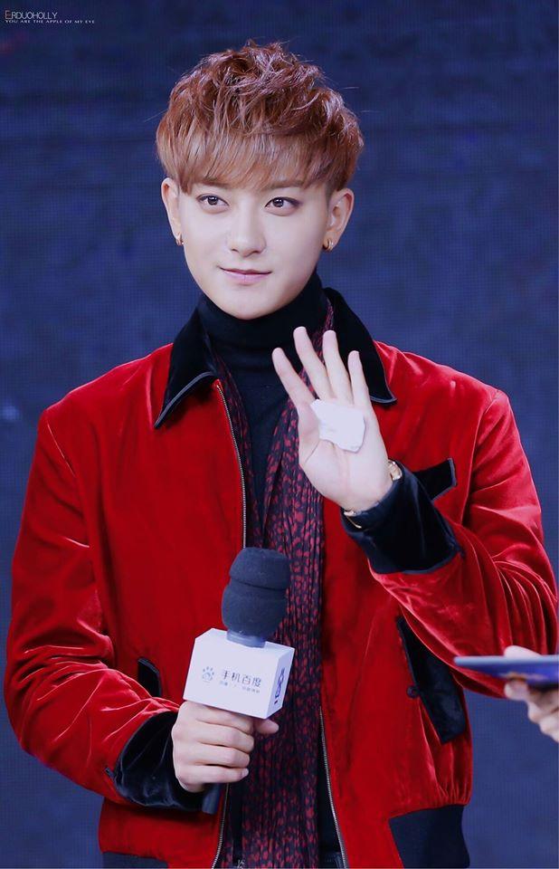 Năm Đinh Dậu, điểm danh những chú Gà Vàng đình đám của làng giải trí thế giới-6