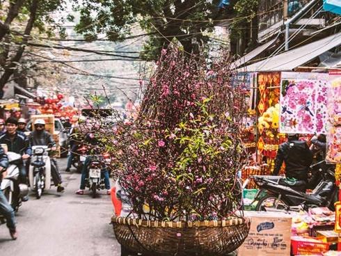 Đàn ông ly hôn, Tết đến mới thấm thía hai tiếng gia đình