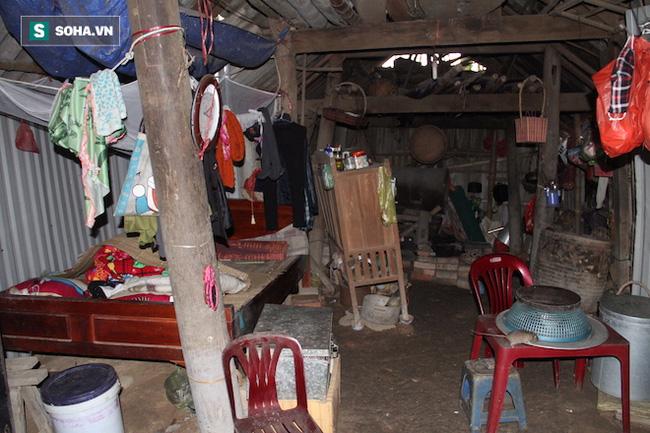 Đôi vợ chồng sống 50 năm trong lùm tre ở Nghệ An: Nuôi được mấy con gà mà không dám ăn - Ảnh 3.