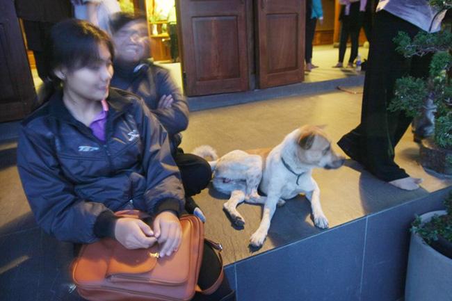 Các bạn trẻ dắt chó vào điện thờ, ngồi lên tiểu cảnh tôn nghiêm ở ngôi chùa nơi Sơn Tùng quay MV Lạc Trôi - Ảnh 4.