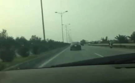 Clip: Bò lao qua đường quốc lộ và cảnh tượng khiến nhiều người giật mình