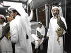 Không chỉ được đi máy bay, chim ưng của các đại gia Ả Rập còn được hưởng dịch vụ sang chảnh này