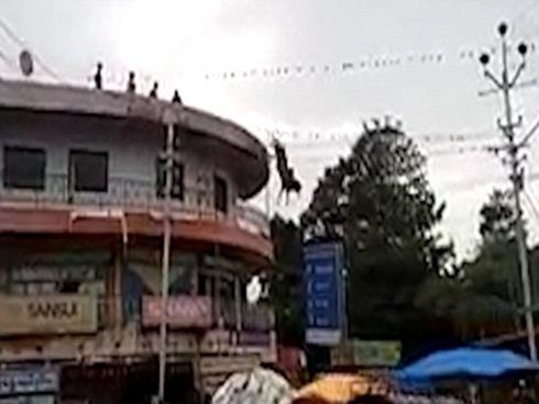 Chú bò nhảy tự tử từ nóc tòa nhà xuống đất trước sự ngỡ ngàng của người dân xung quanh