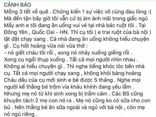 Người mẹ 9X sát hại đứa con trai 5 tháng tuổi xong nhảy xuống giếng tự tử - Ảnh 1.