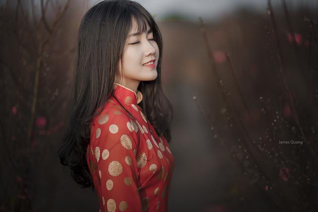 'Cô gái vườn đào' trong bức ảnh ấn tượng Việt Nam của Reuters