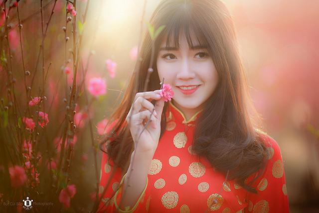 'Cô gái vườn đào' trong bức ảnh ấn tượng Việt Nam của Reuters