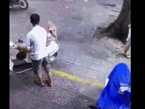 Thanh niên trộm chó táo tợn, ngay trước mắt chủ nhân