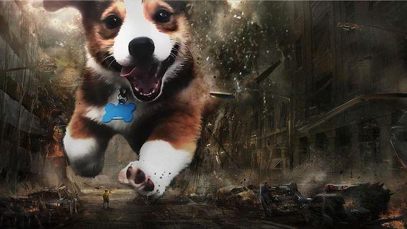 Chu cho vui ve tro thanh hien tuong anh che moi hinh anh 4