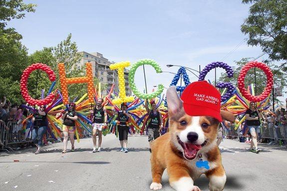 Chu cho vui ve tro thanh hien tuong anh che moi hinh anh 6