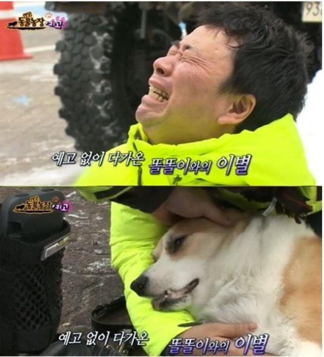 2 tháng sau ngày chú chó cưng qua đời, phép màu đã đến với cặp vợ chồng nghệ sĩ Hàn - Ảnh 3.