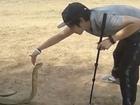 Hot: Thanh niên liều mình tay không bắt rắn hổ mang chúa dài 4 mét