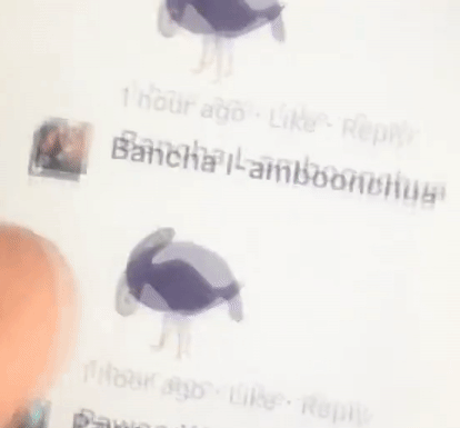 Con sot tren mang mang ten 'Chu chim mau tim' hinh anh 2