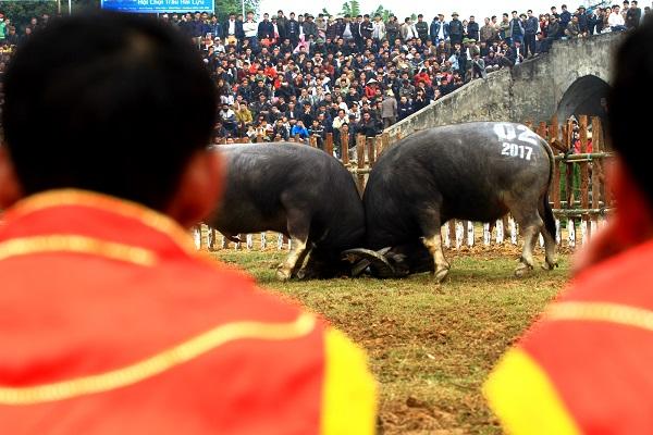 Các cặp đấu diễn ra gay cấn và nảy nửa ngay từ phút đầu. Nhiều trận đấu giằng co tới gần 30 phút.